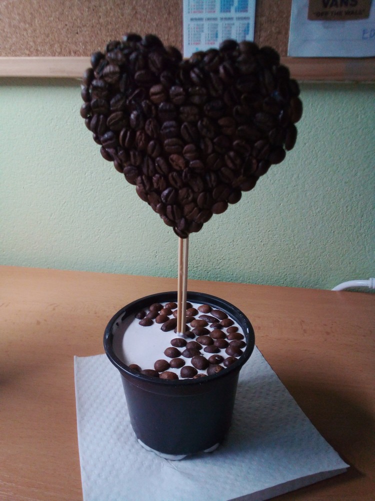 Kavovy strom 5