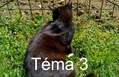 Tema3 bt