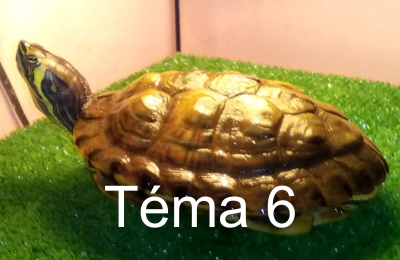 Tema6 bt