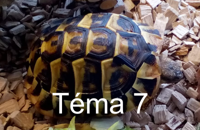 Tema7 bt